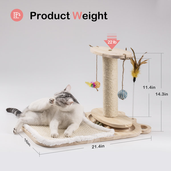 Tucker Murphy Pet Brodie Gael Cat Tree Reviews Wayfair